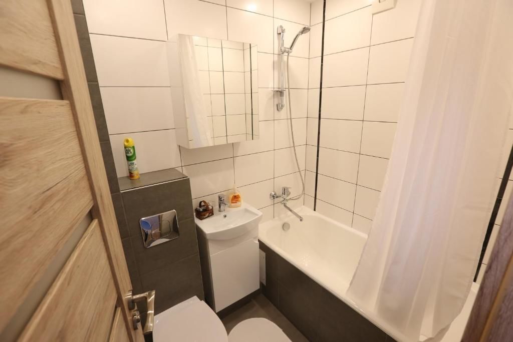 Апартаменты Delightful Apartment in Kaunas Каунас